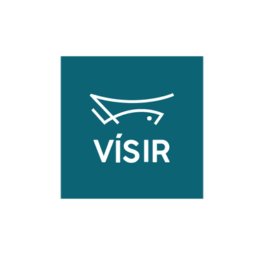 Visir