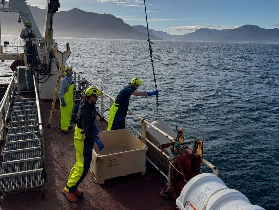 When the opportunity floats by - Gullver's creative crew